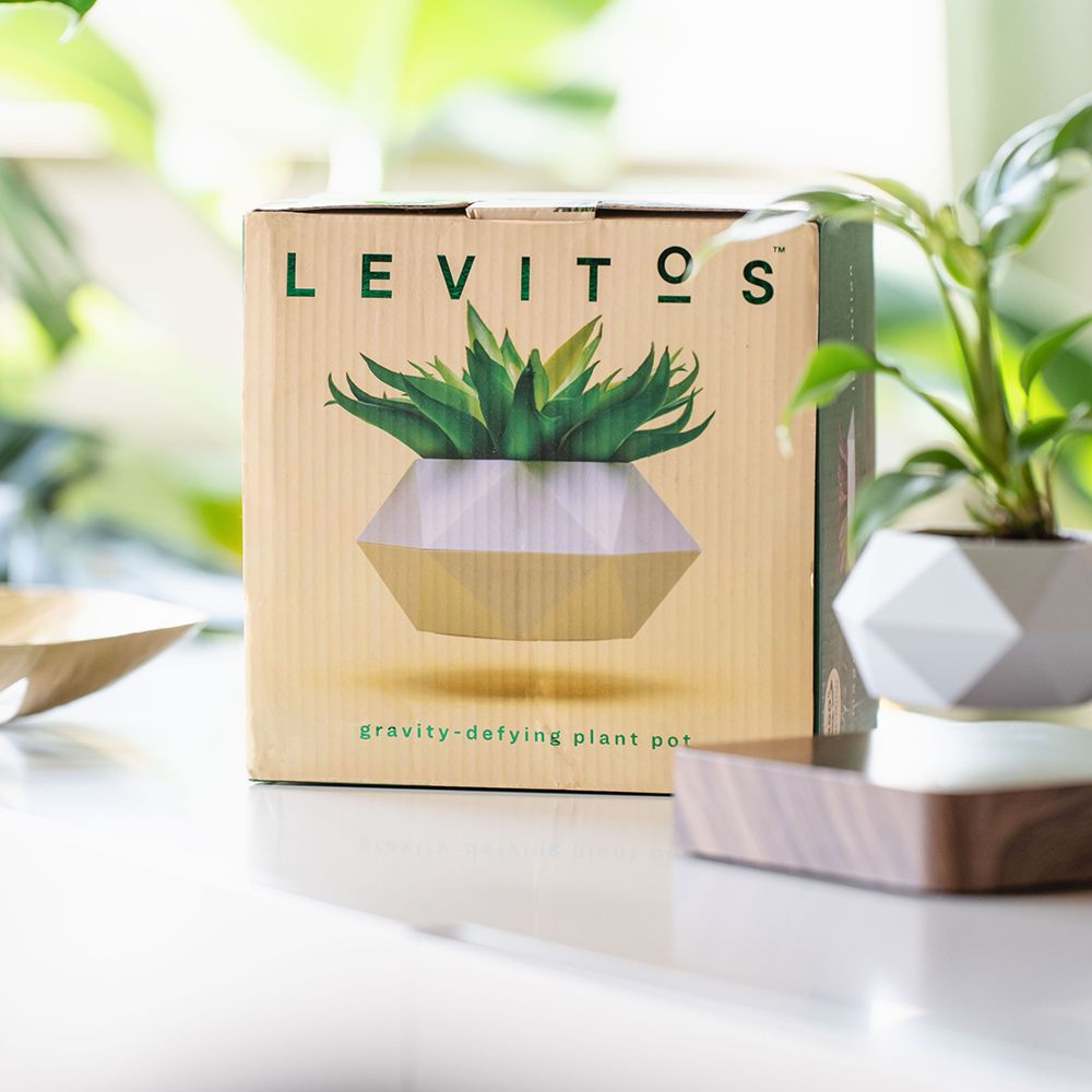 Levitos Plant Pot
