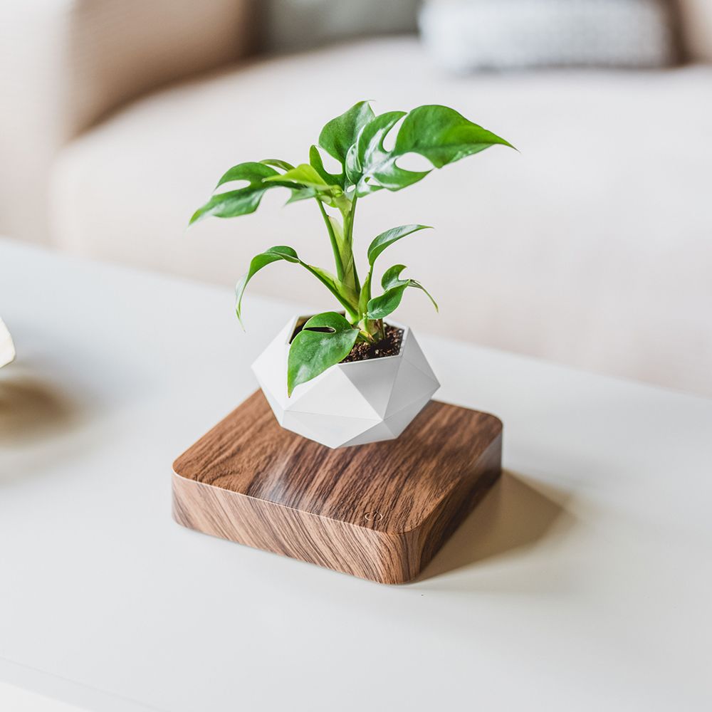 Levitos Plant Pot