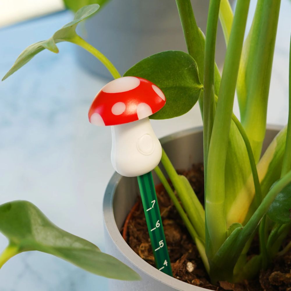 Mushroom Moisture Metre