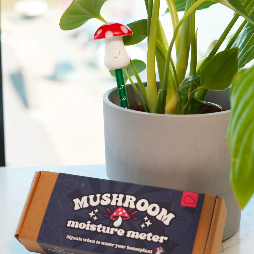Mushroom Moisture Metre
