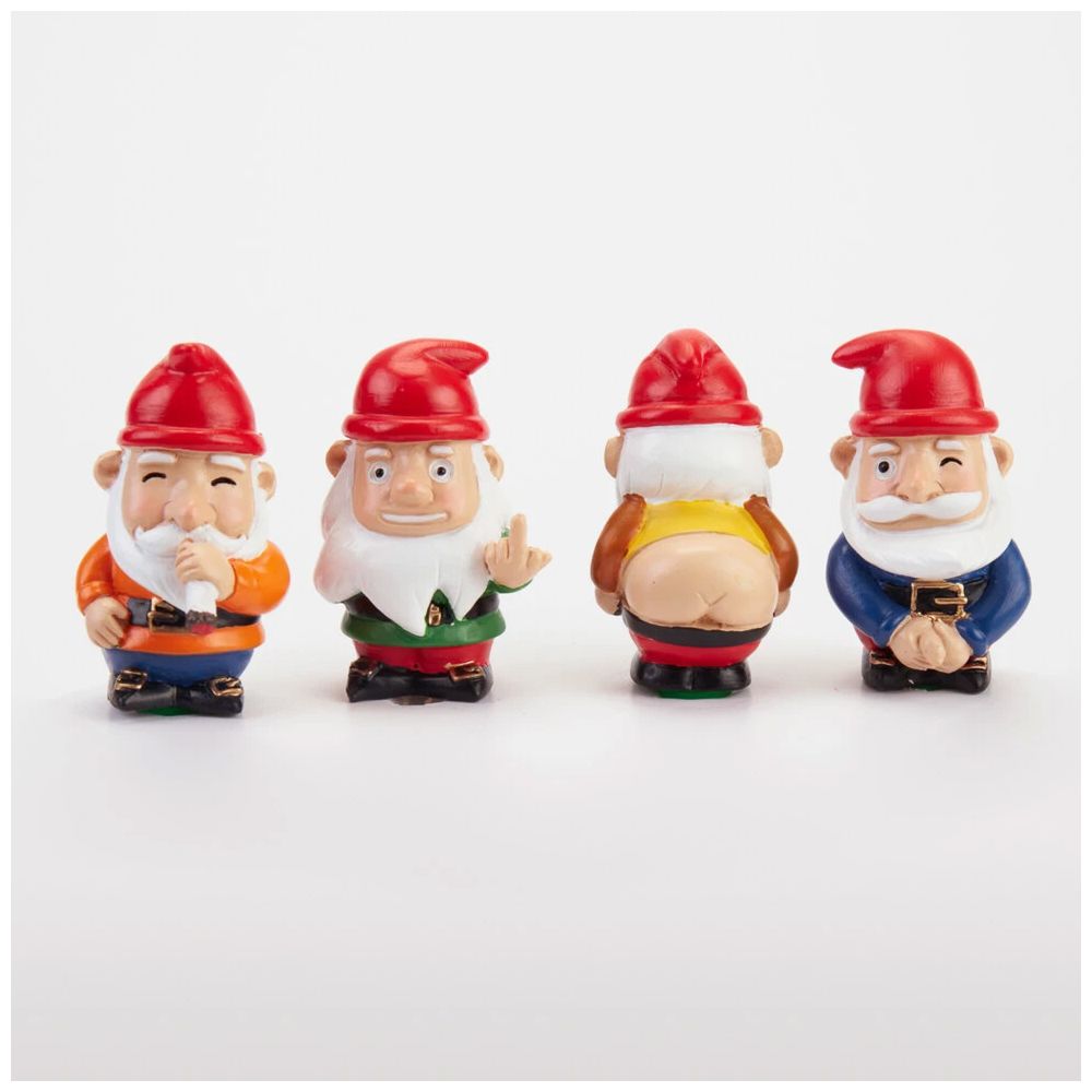 Mini Plant Pot Naughty Gnomes