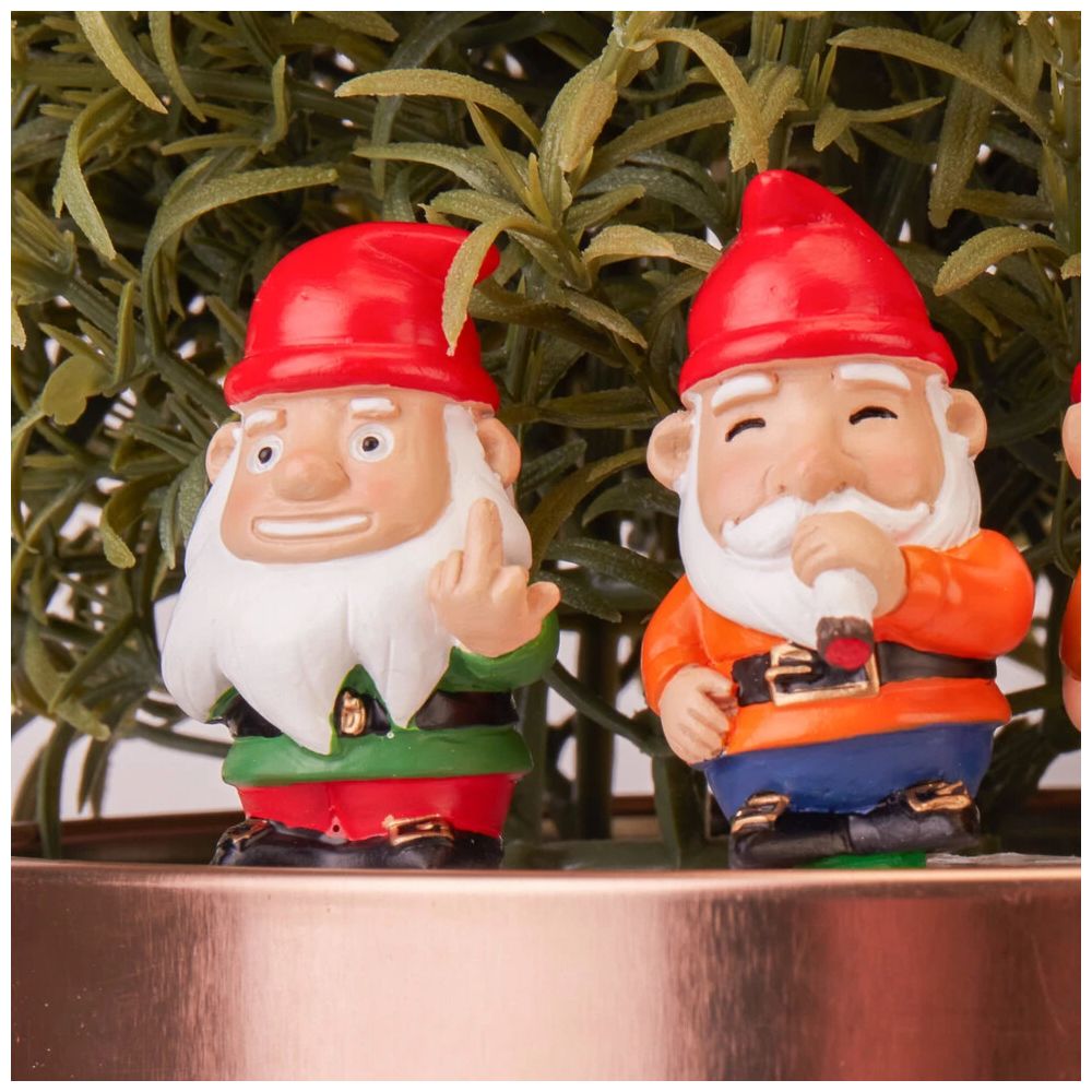 Mini Plant Pot Naughty Gnomes